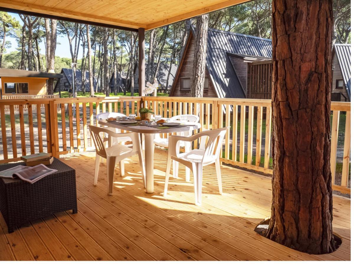 Superior Bungalow - Pet not allowed,1499211202:JPEG